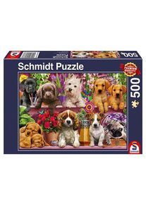 SCHMIDT Puzzle - Dog in the Shelves (500 pieces)