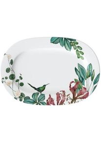 Villeroy & Boch Villeroy & Boch Signature Avarua Platte A U S L A U F !