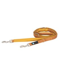 Annyx Führleine Bolt Fun goldglöckchen Classic