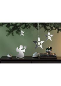 Fink Dekostern »Weihnachtsstern in silberfarben, Größe Ø 20 cm