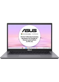 ASUS Chromebook »Plus CM3401FFA-LZ0146« 35,56 cm / 14 ′′ Intel Core i3 UHD Graphics 256 GB SSD CX3402CBA in grau