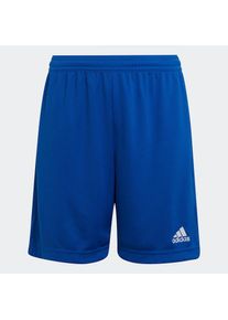 adidas Performance , Kinder , Trainingsshorts »ENT22 SHO Y« , Royal Blue , N-Gr , 152 -N-Gr , 152 , Feuchtigkeitsableitende Fußballshorts.