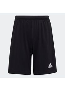 adidas Performance , Kinder , Trainingsshorts »ENT22 SHO Y« , Black , N-Gr , 164 -N-Gr , 164 , Feuchtigkeitsableitende Fußballshorts.