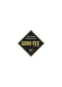 HAIX, Sicherheitsschuhe, Freizeitschuh CONNEXIS Go GTX Ws low Gr&ouml;&szlig;e 4 (37) schwarz/silber Mikrofaser/Textil GORE-TEX, wass... (37)