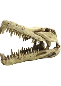 4fish Kranie 22x10,3x13 cm (Dekoration, sonstige Gegenstände), Aquarium Dekoration