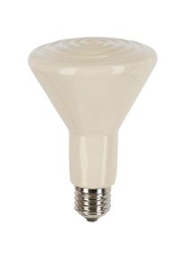 Siepmann Infra-Dunkelstrahler, Terrarium