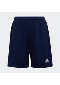 adidas Performance , Kinder , Trainingsshorts »ENT22 SHO Y« , Team Navy Blue 2 , N-Gr , 164 -N-Gr , 164 , Feuchtigkeitsableitende Fußballshorts.