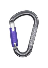 Beal Be Lock 3-Matic Screwgate carabiner grey