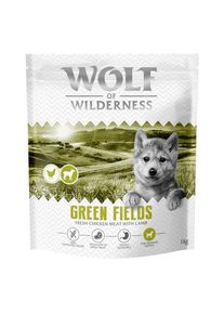 4 x 1 kg Wolf of Wilderness Junior "Green Fields" agneau, sans c&eacute;r&eacute;ales
