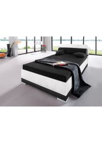 Maintal Polsterbett »wahlweise mit Matratze und praktischen Bettkasten in schwarz-weiß, Größe Liegefläche B/L/H: 140 cm x 200 cm x 42,00