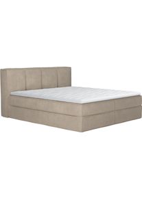 LeGer Home by Lena Gercke Boxspringbett »Addyson« Härtegrade H2 in lila, Größe Liegefläche B/L: 180 cm x 200 cm