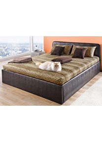 Westfalia Schlafkomfort Polsterbett inkl. Bettkasten bei Ausführung mit Matratze in braun, Größe B/H/L: 108 cm x 34 cm x 210 cm