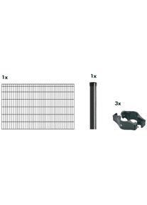 Kraus Doppelstabmattenzaun »Dino-Pro DS-Z42« anthrazit in grau, Größe H/L: 120 cm x 2 m