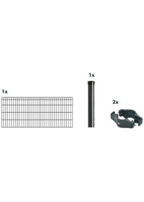 Kraus Einstabmattenzaun »Dino-Trend-Z42« anthrazit in grau, Größe H/L: 80 cm x 2 m