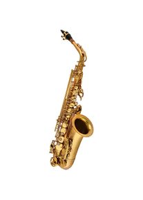 Chicago Winds CC-AS4100L Alto Sax Saxophone alto