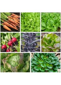 Frøsæt i en trææske