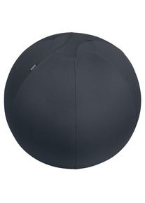 Balón de asiento antideslizante Leitz Ergo Active 65cm (65420089)