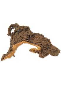 HOBBY Dohse Tropical wood L 33 cm