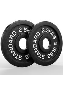 Viktskivor järn Classic | Par | 2,5kg