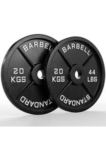 Classic Gjutj&auml;rnsskivor | Par 20kg