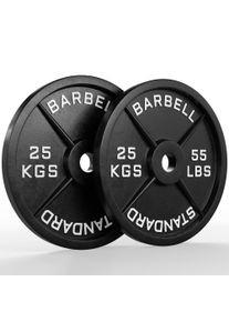 Klassiske jernplader | Par | 25 kg