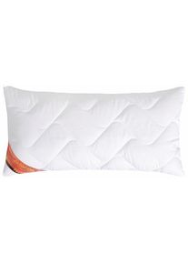 Schlafgut Schlaf-Gut , Microfaserkissen »Proneem m. MF-Bezug« 1 Stk. tlg. Wirksam gegen Milben (von Hohenstein getestet) , weiß , Bezug: 100% Polyester ,...