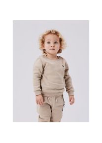 name it, Herren, Sweatshirt &raquo;NMMVIMO LS SWEAT BRU NOOS&laquo;, Pure Cashmere, 104, Pure Cashmere, Sweatshirt von name it