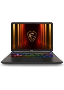 MSI Vector 16 HX AI A2XWHG-079IT (9S7-15M352-079) (16", 1000 GB, 32 GB, DE, Intel Core Ultra 7 255HX), Notebook, Grau