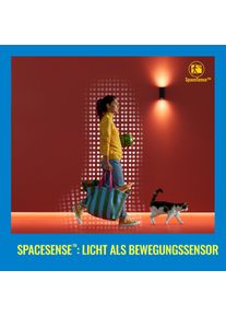 WIZ, Wandleuchte + Deckenleuchte, Panel (3400 lm)