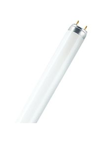 Osram, Leuchtmittel, Lumilux (G13, 1350 lm, 1 x)