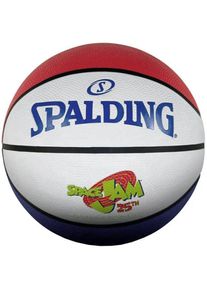 Spalding, Basketbälle