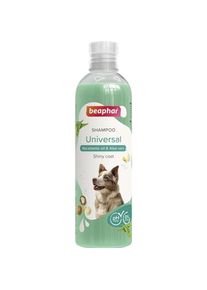 beaphar Shampoo Universale per Cani con Olio di Macadamia e Aloe Vera (Hund, 250 ml), Tierpflegemittel