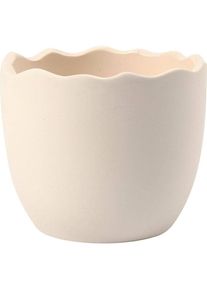 Creativ Company Eierschale 24 Stück, Weiss