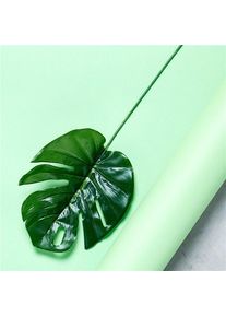 12 feuilles de palmier tropical