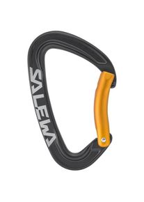 Salewa Ortles Bent Carabiner Snapgate carabiner grey