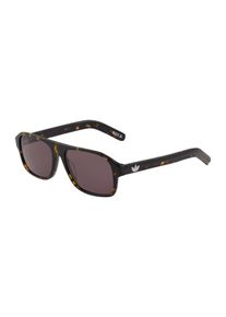 adidas originals Óculos de sol em castanho Tamanho 55 Estampado animal