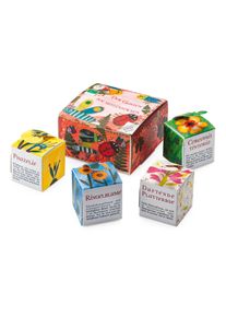 H&auml;decke Verlag Bio-Blumensamen Samenw&uuml;rfel f&uuml;r Nutzinsekten