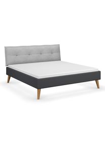 Rauch Bett »Skandi« - 193x219x109cm - grau - Holz