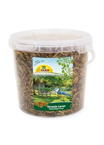 400g Cubo JR FARM con larvas de Hermetia/moscas soldados para pájaros