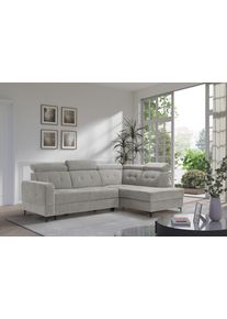 exxpo - Sofa Fashion Ecksofa »Monte, Kopfteile verstellbar, optional mit Bettfunktion & Bettkasten«, Größe B/H/T: 254 cm x 100 cm x 182 cm