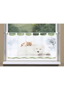 Home Wohnideen Scheibengardine »HARMONY« Schlaufen 1 Stk. tlg. aufwendiges Digitaldruckverfahren in beige