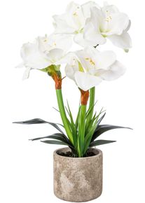 Creativ Deco Winterliche Kunstpflanze »Weihnachtsdeko« im Zementtopf in weiß, Größe B/H/L: 55 cm