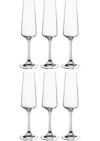 Leonardo Sektglas »Gläser-Set PALADINO in farblos, Größe Ø 6,7 cm x 23,8 cm