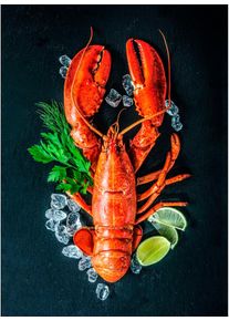 Egeria Geschirrtuch »Küchentuch Digitalprint« 2x 50x70 cm, MADE IN GREEN by OEKO-TEX -zertifiziert in schwarz