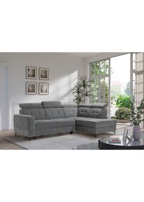 exxpo - Sofa Fashion Ecksofa »Monte, Kopfteile verstellbar, optional mit Bettfunktion & Bettkasten«, Größe B/H/T: 254 cm x 100 cm x 182 cm
