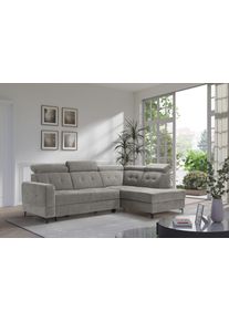 exxpo - Sofa Fashion Ecksofa »Monte, Kopfteile verstellbar, optional mit Bettfunktion & Bettkasten«, Größe B/H/T: 254 cm x 100 cm x 182 cm