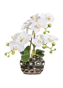 P & B Kunstpflanze , Grün, Silberfarben, Weiß , Kunststoff , 30 cm , inkl. Topf, Real-Touch-Oberfläche , Dekoration, Blumen & Blumentöpfe