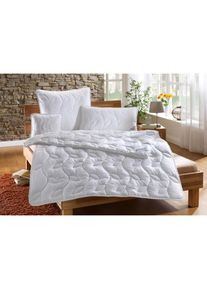 Dreams , Kunstfaserkopfkissen »Thinsulate« 1 Stk. tlg. , weiß , Bezug: 100% Baumwolle. Füllung: 100% Polyester , B/H/L: 40 cm x 40 cm