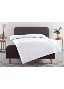 my home , Microfaserbettdecke »Microlux, Bettdecke 135x200 cm, und Übergrößen bis 240x220cm« leicht Füllung Feuchtigkeitsregulierende 3D Klimafaser...