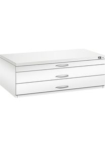 Archivio per disegni C+P